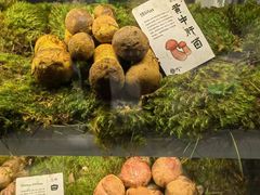 -滇野云南野生菌餐厅(陕西南路店)