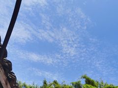 -园里火锅(仁和新城店)