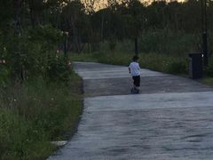 -春花秋色城市公园