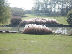 -九里河湿地公园