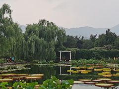 -国家植物园南园