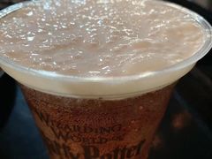 -The Wizarding World of Harry Potter - Hogsmeade