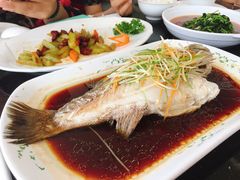 -云中小雅