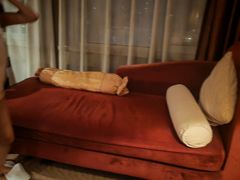 -印象高密·凤都国际大酒店