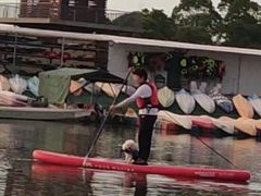 -春花秋色城市公园