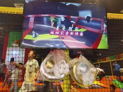 -蹦蹦跳跳(新奥购物中心店)