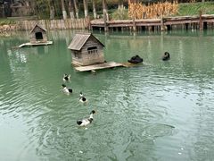 -乌村