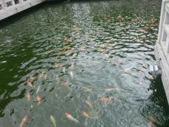 -惠州西湖丰渚园