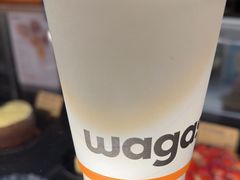 -Wagas沃歌斯(浦东机场店)