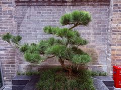 -湘子庙