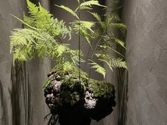 -固元堂(摩方分院)