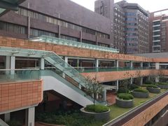 -香港大学