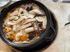 -蘑统田下·野生菌火锅