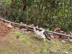 -白云山风景名胜区