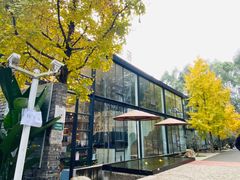-桉树林A coffee 森林餐厅(三圣乡店)