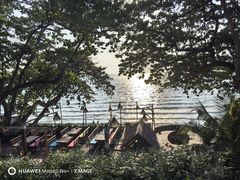 -卷心菜和避孕套餐厅(Pattaya)