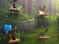 -下渚湖国家湿地公园科普馆