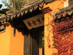 -东山风景区(洞庭东山)