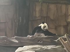 -泉州海丝野生动物世界