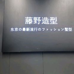 点击看大图 -藤野造型