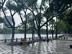 -月湖公园