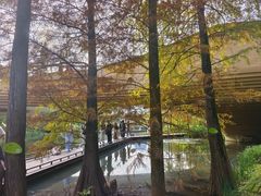 -云溪植物园
