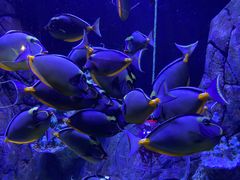 -成都浩海立方海洋公园