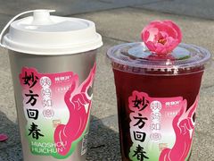 -炖物24章·顺时轻养茶(黄龙店)