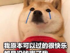 -慕斯荟