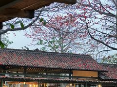 -喜洲吧·江畔老船厂·庭院餐厅(喜临院店)