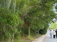 -紫藤园·天目湖大鱼头(南山竹海店)