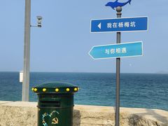 -杨梅坑