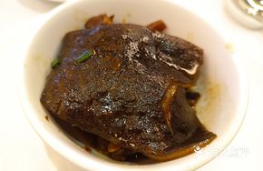 Qinglian Waterfront Turtle