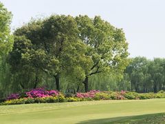 -旭宝高尔夫俱乐部