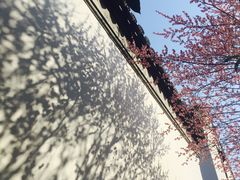 -常熟方塔园