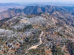 -鲁山国家森林公园