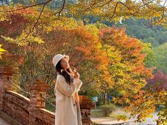 -田野绿世界