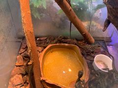 -青石桥花鸟鱼虫市场(叠翠城店)