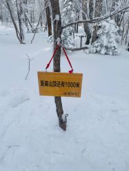 -大秃顶子山