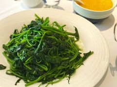 清炒红薯尖-眉州东坡(民族园店)