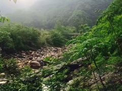 -石台牯牛降景区