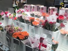 -盒马X会员店(王府井奥莱UP TOWN店)
