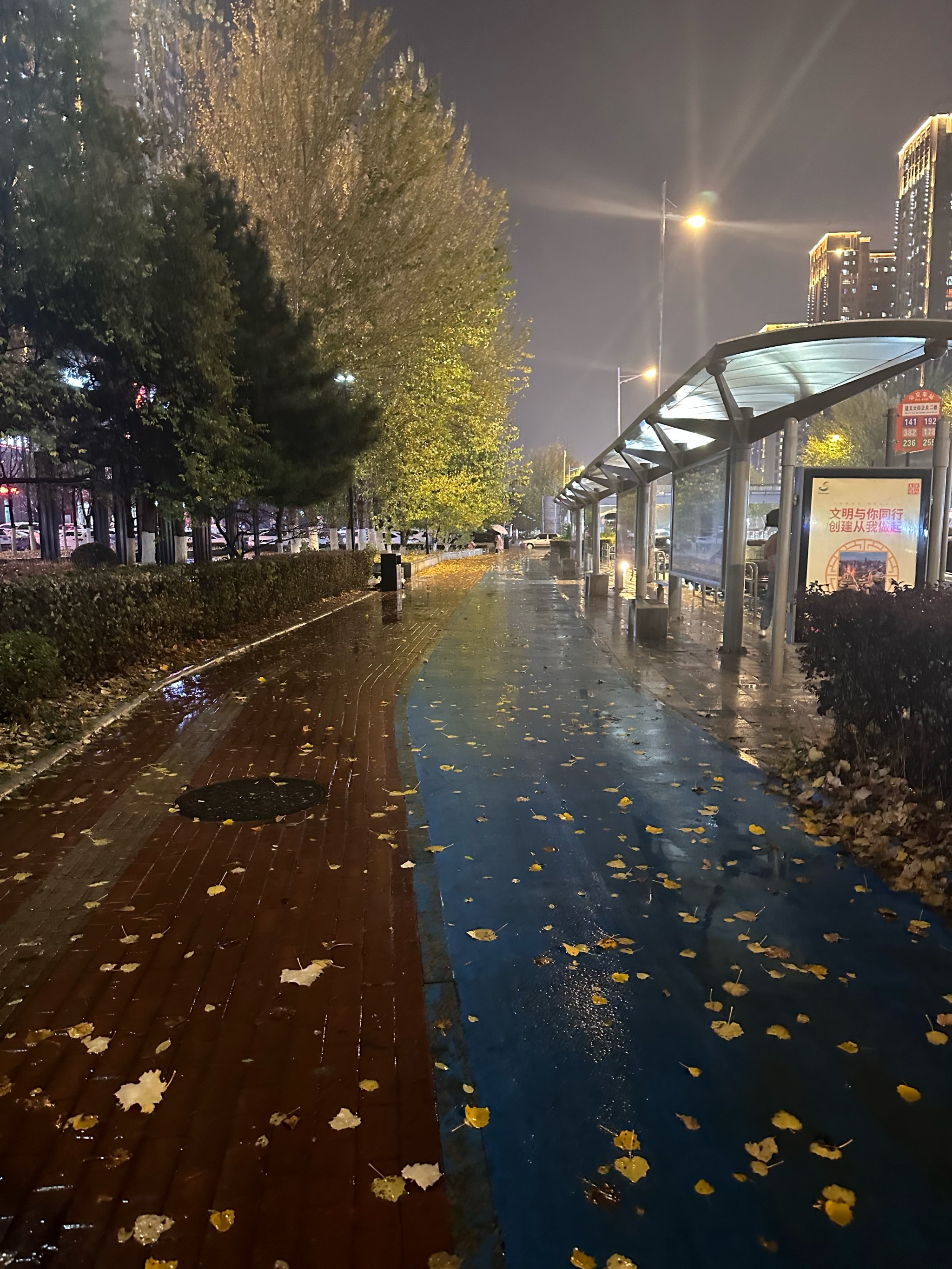 雨后清晨昼风图片