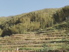 -泽雅景区