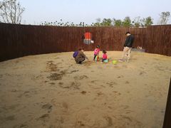 -春花秋色城市公园