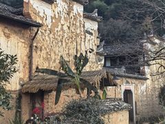 -杨家堂村