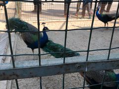 -韶关经律论国际酒店温泉