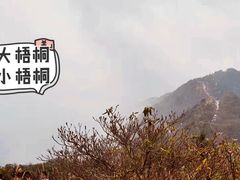 -梧桐山风景名胜区