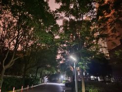 -上海市儿童医院(泸定路院区)