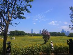 -苏州湾体育公园